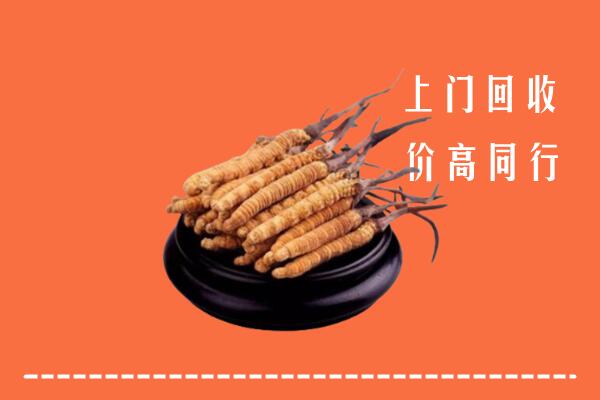 高价求购：金林区回收散虫草