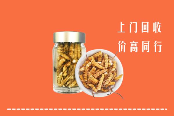 金林区回收冬虫夏草