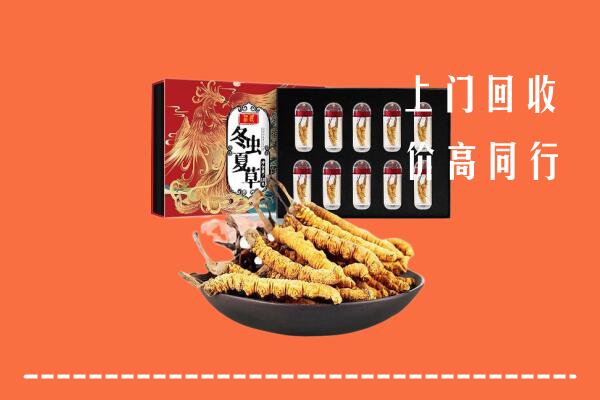 金林区回收虫草
